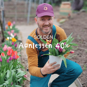 Aanleggen 40%